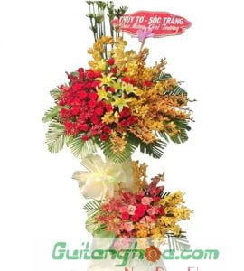 Shop Hoa Tươi Quận Phú Nhuận