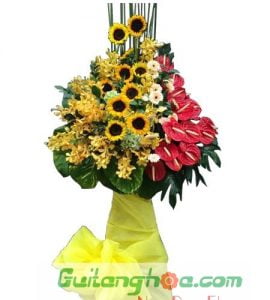SHOP HOA TƯƠI VĨNH LONG ĐẸP