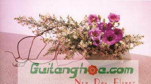 SHOP HOA TƯƠI NINH BÌNH