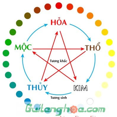 Cây cảnh phong thủy theo ngũ hành